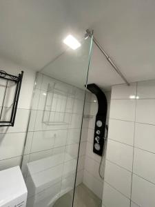 un bagno con doccia e porta in vetro di Loft Alby 10 ristrutturato nuovo a Torino