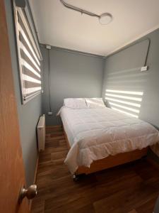 1 dormitorio con 1 cama grande y ventana en 2 Hometainer Natales, en Puerto Natales