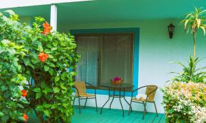 Jardin de l'établissement Hostal y Cabañas Aorangi