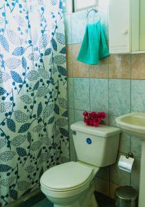 Salle de bains dans l'établissement Hostal y Cabañas Aorangi