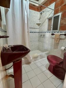 奧隆的住宿－海花園洋房酒店，一间带水槽、卫生间和淋浴的浴室
