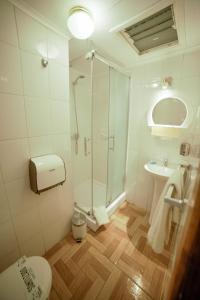La salle de bains est pourvue d'une douche, de toilettes et d'un lavabo. dans l'établissement Departamentos Cordillera, à Punta Arenas