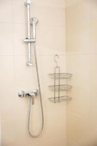 a shower with a shower head and two shelves at Premium 80 m2 Rooftop Apartment - 5 min to Center in Vienna