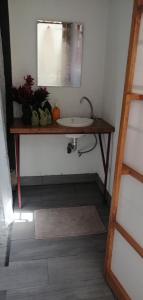 a bathroom with a sink and a mirror at Casa Bolita in Dos Brazos