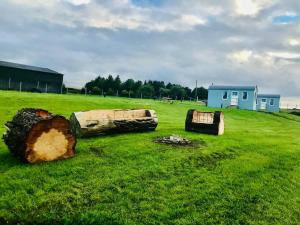 Ein Garten an der Unterkunft The Lazy Llama Farm Stay Shepherd Hut