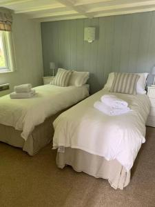 dos camas sentadas una al lado de la otra en un dormitorio en Lower Hill Cottage w/Swedish Hot Tub en Bodmin