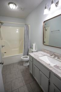 a bathroom with a sink and a toilet and a mirror at Elegant 3 bedroom apt with free parking and balcony in Nashville