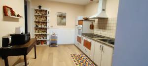 cocina con fregadero y fogones horno superior en CS50 Alojamiento 1 dormitorio Monforte de Lemos en Monforte de Lemos