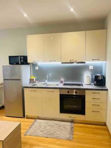 une cuisine avec un évier et un réfrigérateur dans l'établissement Louisa's Studio, à Corfou