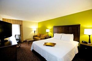 a hotel room with a large bed and a television at Hampton Inn Atlanta/Douglasville in Douglasville