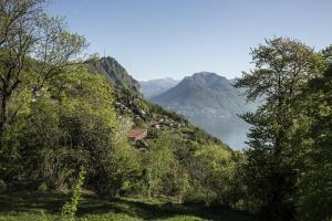 Un paisaje natural cerca del hostal