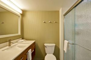 Home2 Suites By Hilton Opelika Auburn的一间浴室
