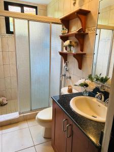 a bathroom with a toilet and a sink and a shower at Luxurious private room with bathroom in mountaine in Sorá