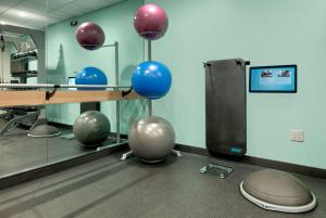 Fitness centrum a/nebo fitness zařízení v ubytování Tru By Hilton Austin Nw Arboretum, Tx