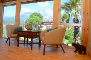 a living room with a table and a cat looking out the window at Amore Hotel Teki̇rova in Tekirova