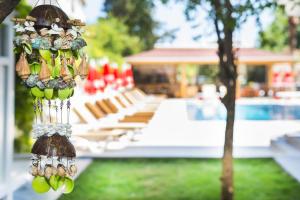 a group of shells hanging from a tree next to a pool at Amore Hotel Teki̇rova in Tekirova