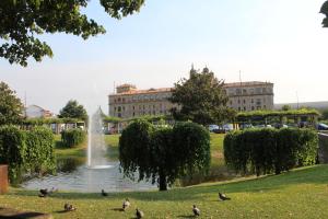 a fountain in a park with ducks in the grass at Casa Solveira in Piñeiro