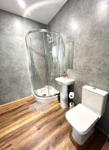 een badkamer met een douche, een toilet en een wastafel bij Apartment - City Centre WV1 in Wolverhampton