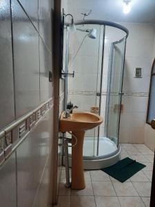 a bathroom with a sink and a shower at Recidencia El Hogar in Cochabamba