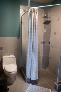 La salle de bains est pourvue d'une douche et de toilettes. dans l'établissement Fleur Lodge, à Carhuaz