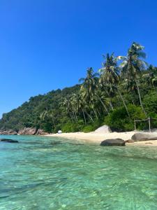 a beach with palm trees and the ocean at Redang Campstay in Redang Island