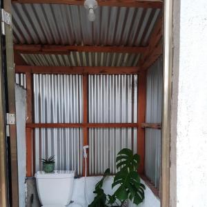 una camera con servizi igienici e una pianta di Lagkaw Uno in Lagkaw Homestay a Panglao