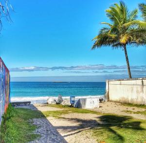 uma palmeira numa praia com o oceano em Casa com piscina - Praia do Pernambuco no Guarujá