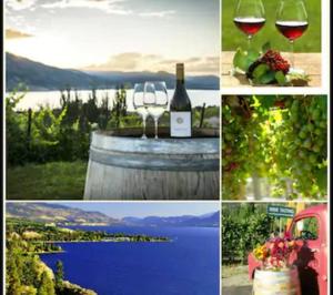 a collage of photos of wine glasses and a bottle of wine at Vineyard Sunrise Villa near Lake in Penticton