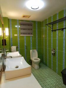 a green bathroom with a toilet and a sink at Playa Alba Beach Front and Resort in San Antonio