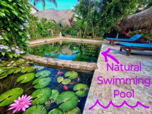 um lago de carpas num jardim com piscina de aitação em Dream Glamping Jungle Bohio em Las Terrenas