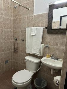 La salle de bains est pourvue de toilettes et d'un lavabo. dans l'établissement Hotel del Sol, à San Miguel de Allende