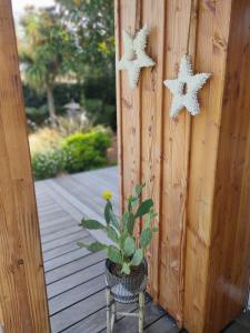 two white stars hanging on a wooden wall next to a plant at La Cabane Bohème, Maison d'hôtes Bassin d'Arcachon in Gujan-Mestras