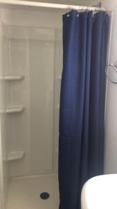a bathroom with a shower with a blue shower curtain at cozzy room with private entrance and drive way in Arlington