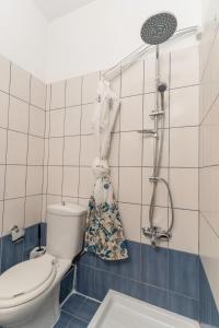 een badkamer met een toilet en een douche bij Litochoro apartment in Litóchoron