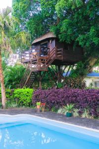 une cabane dans les arbres avec une terrasse à côté d'une piscine dans l'établissement Tree Lodge Mauritius, à Belle Mare