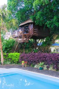 Bazén v ubytování Tree Lodge Mauritius nebo v jeho okolí
