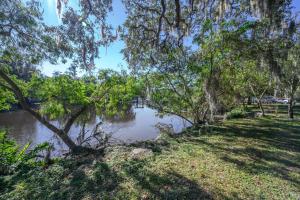 vistas a un río con árboles y césped en Reel relaxing across from River in Huge 24 foot Swim Spa, en Tampa