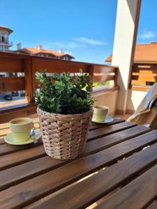 una planta en una cesta sentada en una mesa con dos tazas en Cozy studio with balcony in 4-star hotel Saint Ivan Rilski, Bansko en Bansko
