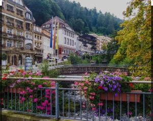 a view of a town with flowers on a fence at Viva la Wildbad in Bad Wildbad