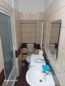 a bathroom with two toilets and a sink at Casa Bia in Braşov