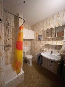 a bathroom with a shower and a sink and a toilet at Apartment „Bergblick“ in Sankt Johann in Tirol