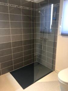 a bathroom with a glass shower with a toilet at Studio pour 2 personnes à Tonnay Charente in Tonnay-Charente