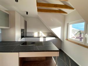 Η κουζίνα ή μικρή κουζίνα στο Loft-Apartment Schloßsee