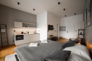 Kuchyňa alebo kuchynka v ubytovaní Piano apartments - LICITY