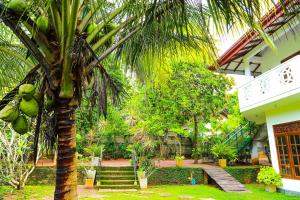 a palm tree in front of a house at Dil's Place in Beruwala