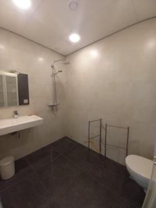 łazienka z toaletą i umywalką w obiekcie mooie familie groepsaccomodatie aan de bosrand w mieście Overloon