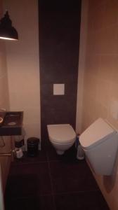 La salle de bains est pourvue de toilettes blanches et d'un lavabo. dans l'établissement mooie familie groepsaccomodatie aan de bosrand, à Overloon
