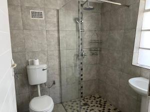 a bathroom with a shower with a toilet and a sink at Nabeelah's Guesthouse in Roodepoort