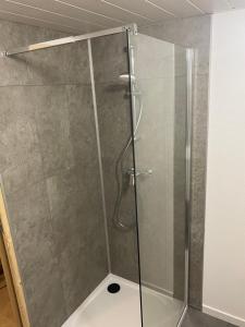 een douche met een glazen deur in de badkamer bij chambres de l'étang de la Demoiselle in Saint-Nabord