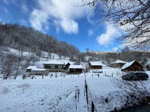 a snow covered yard with houses and a car parked at Casa- viata la tara in Bucureşci